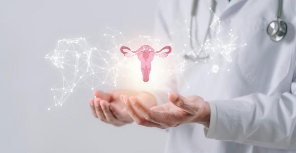 Doctor holding virtual uterus hologram illustration.